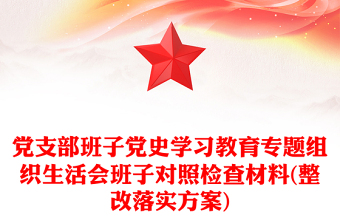 党史组织生活会整改方案
