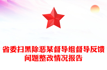 省委扫黑除恶某督导组督导反馈问题整改情况报告