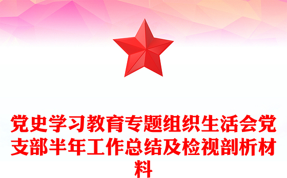 党史学习教育专题组织生活会党支部半年工作总结及检视剖析材料