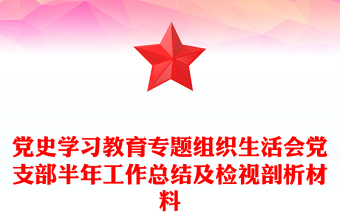 党史学习教育专题组织生活会党支部半年工作总结及检视剖析材料