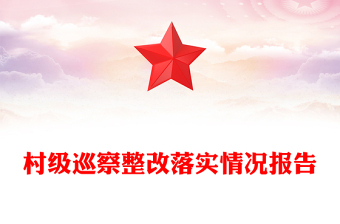 村级巡察整改落实情况报告
