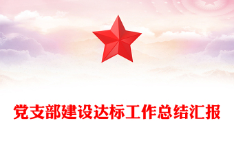 党支部建设达标工作总结汇报