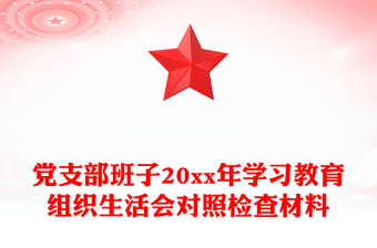 党支部班子20xx年学习教育组织生活会对照检查材料