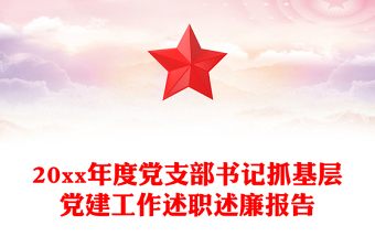 20xx年度党支部书记抓基层党建工作述职述廉报告