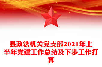 县政法机关党支部2021年上半年党建工作总结及下步工作打算