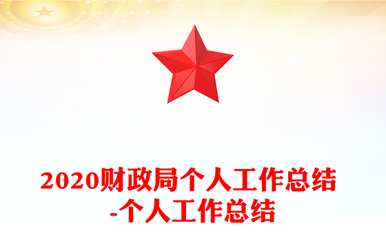 2020财政局个人工作总结 -个人工作总结