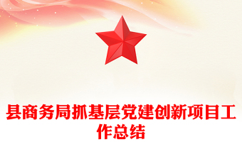 县商务局抓基层党建创新项目工作总结