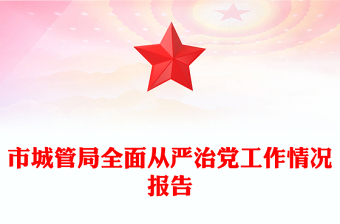 市城管局全面从严治党工作情况报告