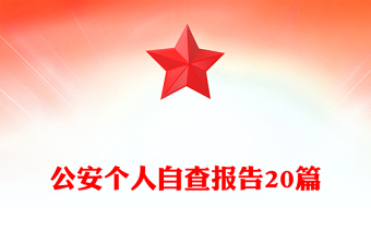 公安个人自查报告20篇