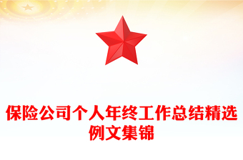 保险公司个人年终工作总结精选例文集锦