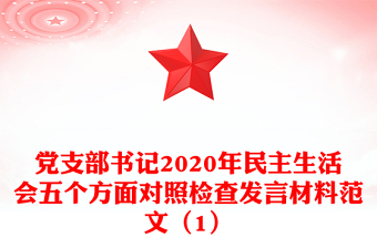 党支部书记2020年民主生活会五个方面对照检查发言材料范文（1）
