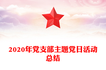 2020年党支部主题党日活动总结