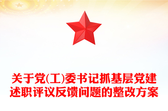 关于党(工)委书记抓基层党建述职评议反馈问题的整改方案