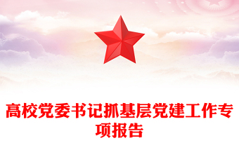 高校党委书记抓基层党建工作专项报告