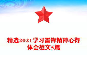 精选2021学习雷锋精神心得体会范文5篇