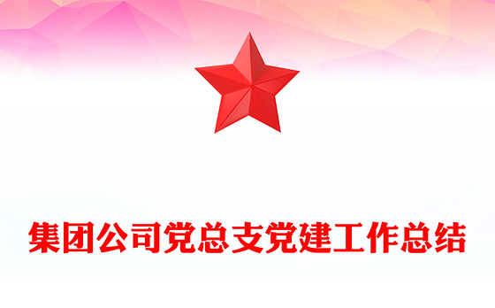集团公司党总支党建工作总结