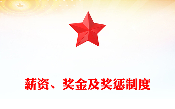 薪资、奖金及奖惩制度