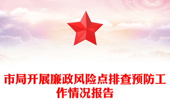 市局开展廉政风险点排查预防工作情况报告