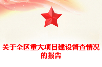 关于全区重大项目建设督查情况的报告