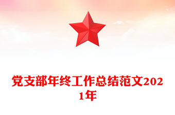 党支部年终工作总结范文2021年