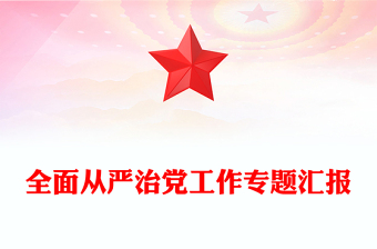 全面从严治党工作专题汇报