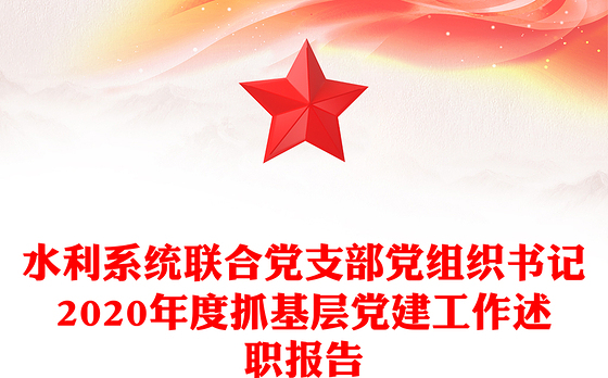 水利系统联合党支部党组织书记2020年度抓基层党建工作述职报告