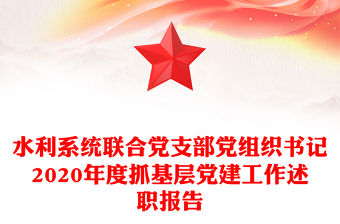 水利系统联合党支部党组织书记2020年度抓基层党建工作述职报告