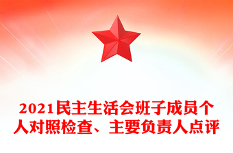 2021民主生活会班子成员个人对照检查、主要负责人点评