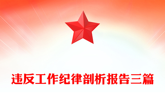 2023违反廉洁纪律对照违法