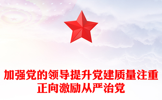 加强党的领导提升党建质量注重正向激励从严治党