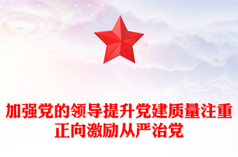 加强党的领导提升党建质量注重正向激励从严治党
