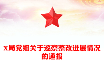 X局党组关于巡察整改进展情况的通报