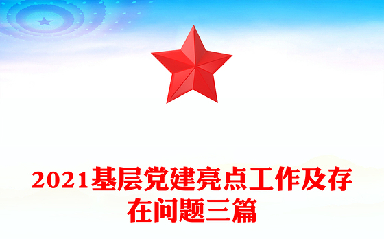 2023党建规划和总结存在问题