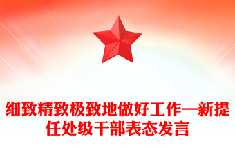 细致精致极致地做好工作—新提任处级干部表态发言