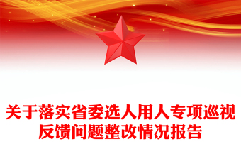 关于落实省委选人用人专项巡视反馈问题整改情况报告