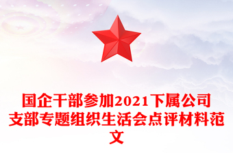 国企干部参加2021下属公司支部专题组织生活会点评材料范文