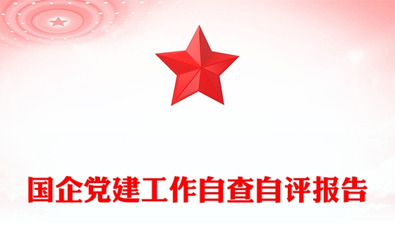 国企党建工作自查自评报告