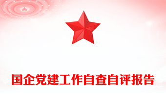国企党建工作自查自评报告
