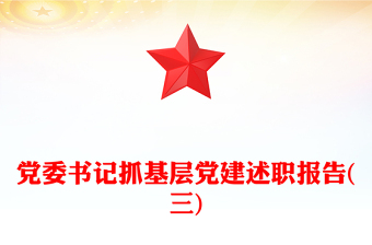 党委书记抓基层党建述职报告(三)