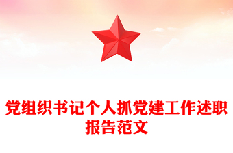 党组织书记抓党建述职报告