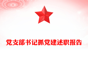 党支部书记抓党建述职报告