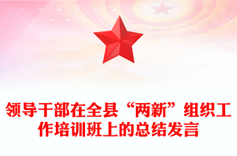 领导干部在全县“两新”组织工作培训班上的总结发言