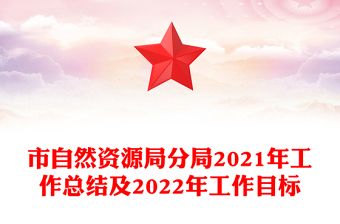 市自然资源局分局2021年工作总结及2022年工作目标