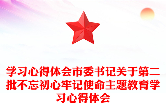 学习心得体会市委书记关于第二批不忘初心牢记使命主题教育学习心得体会