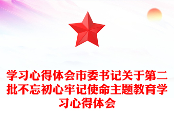 学习心得体会市委书记关于第二批不忘初心牢记使命主题教育学习心得体会