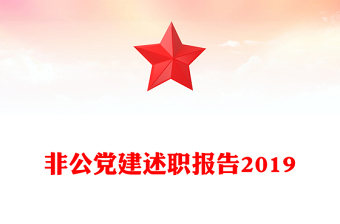 非公党建述职报告2019