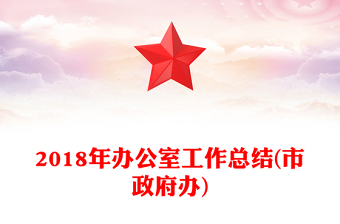2018年办公室工作总结(市政府办)