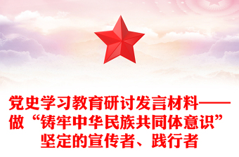 党史学习教育研讨发言材料——做“铸牢中华民族共同体意识”坚定的宣传者、践行者