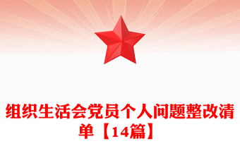 组织生活会党员个人问题整改清单【14篇】