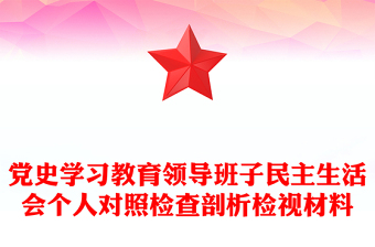 党史学习教育领导班子民主生活会个人对照检查剖析检视材料